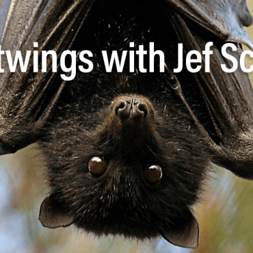 Batwings with Jef Scott