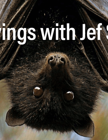 Batwings with Jef Scott